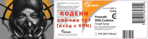 2c-b Гусев