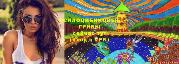 2c-b Гусев