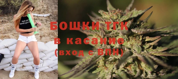 2c-b Гусев