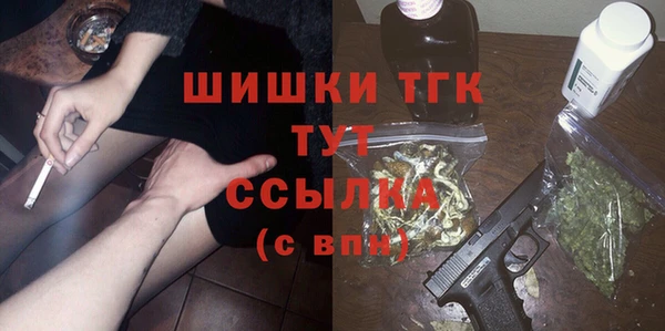 2c-b Гусев